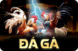 đá gà